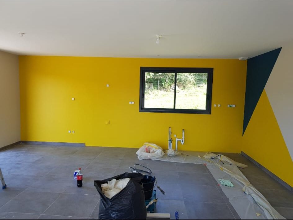 Mise en peinture intérieur 1/2